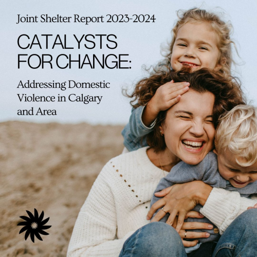 Catalysts for Change: Addressing Domestic Violence in Calgary and Area Joint Shelter Report